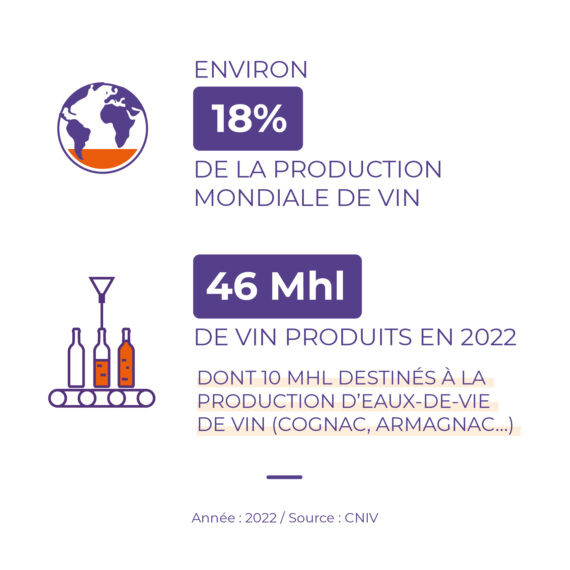 Production vin en France