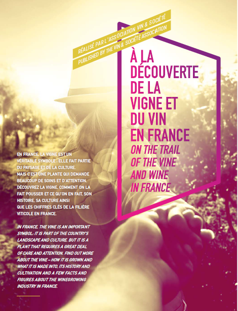 A la découverte de la vigne et du vin en France V&S