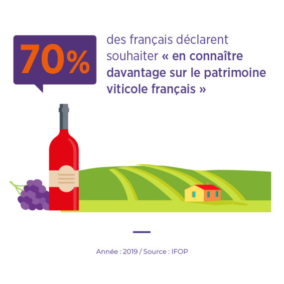 Connaissances vin français