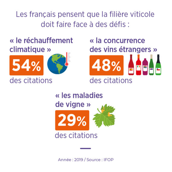 connaissances français défis vin