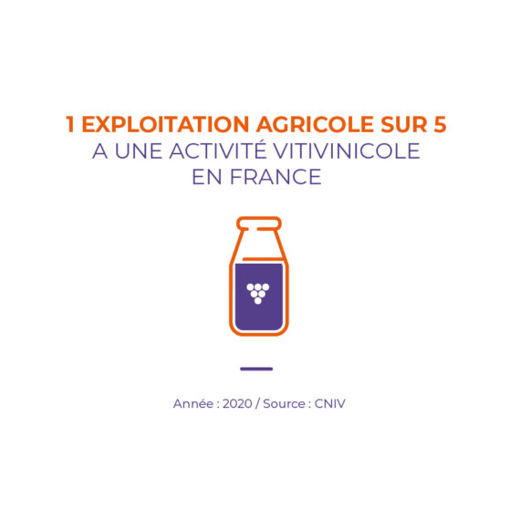 Exploitation agricole vitivinicole france