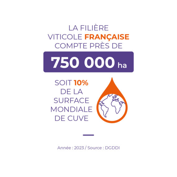 hectares vignoble français