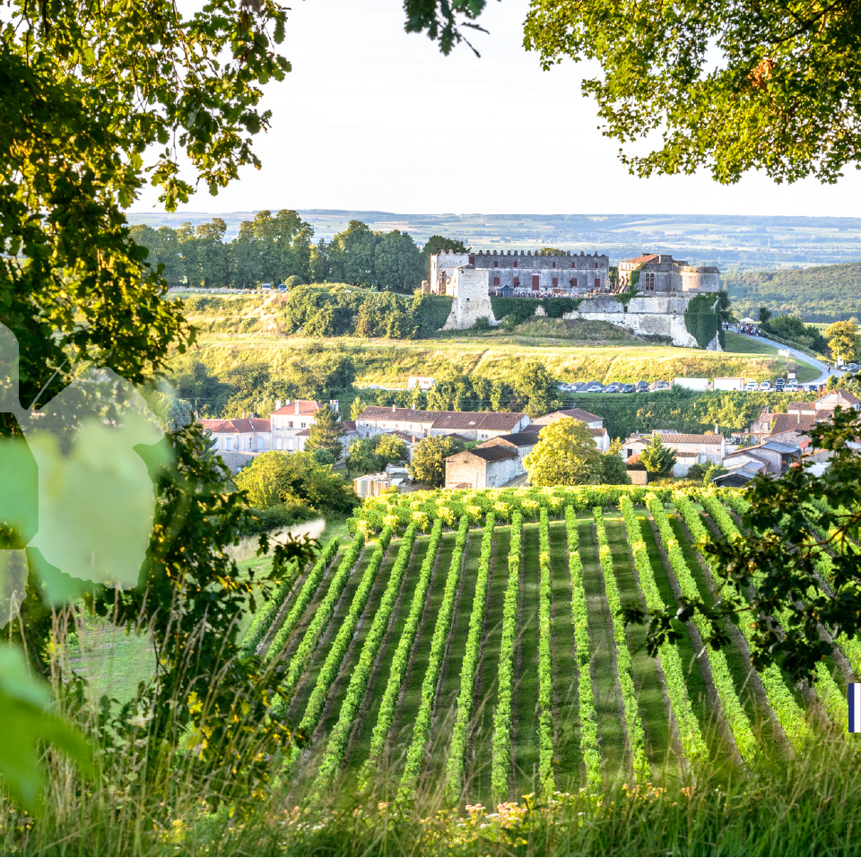 fédération vignobles & découvertes