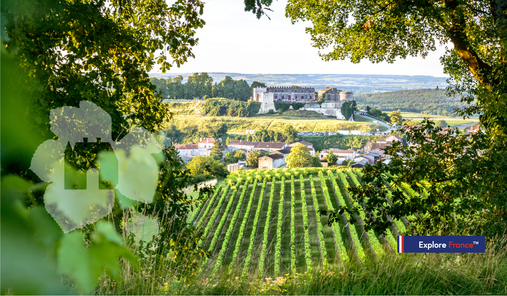 fédération vignobles & découvertes