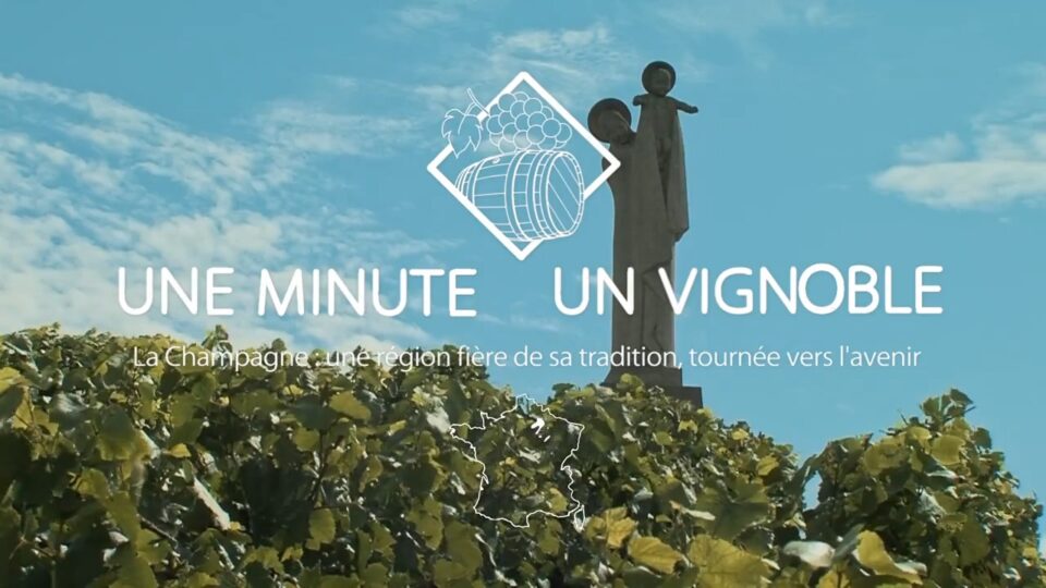 une minute un vignoble