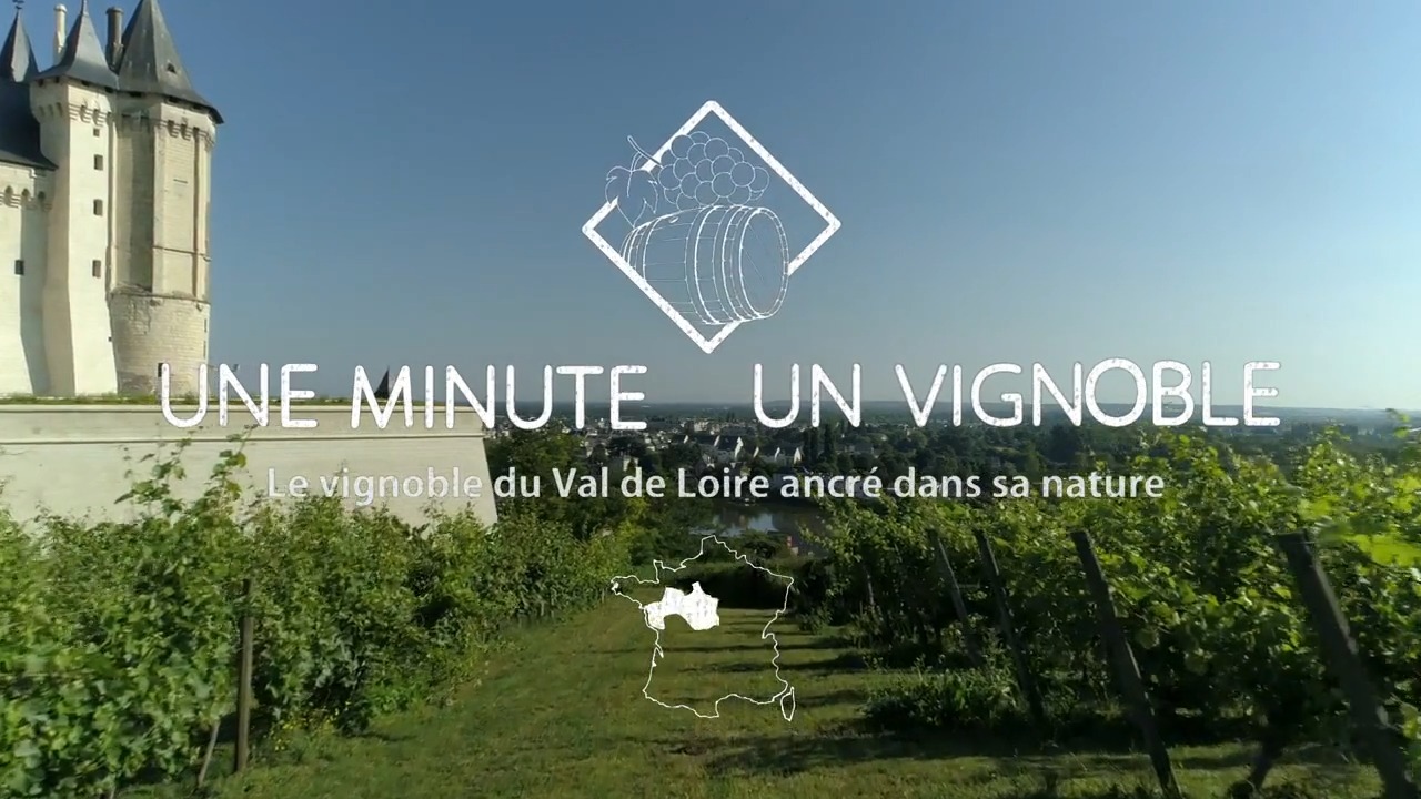 une minute un vignoble S2